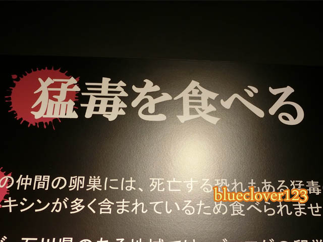 もうどく展行きました_中には食べられる毒もある！？ _ブログ子育てママの日々役に立ちそうなちょっとしたことblueclover123