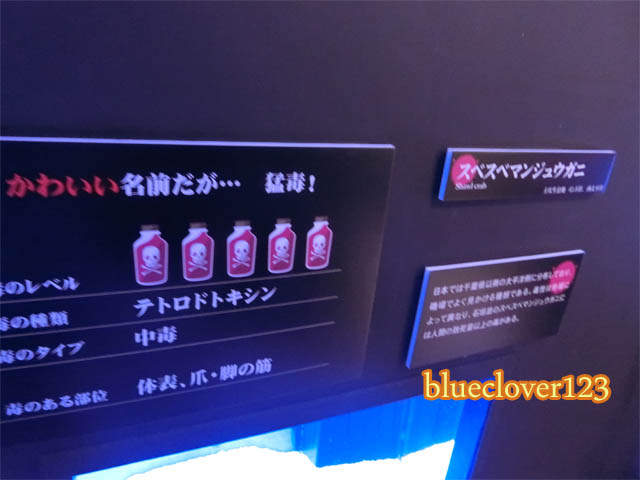もうどく展行きました_かわいいものには毒がある!?スベスベマンジュウガニ _ブログ子育てママの日々役に立ちそうなちょっとしたことblueclover123