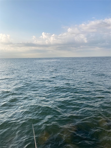 f:id:bluecrabkun:20210925121953j:image f:id:bluecrabkun:20210925121953j:image