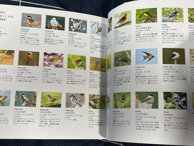 小鳥ページ Amazon.co.jp: 日本の鳥550 水辺の鳥 増補改訂版 (ネイチャーガイド