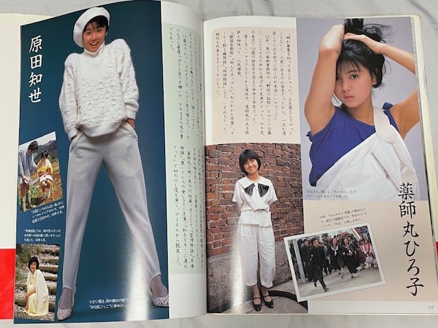 『平凡』お宝写真館　20世紀のビッグスタア　別巻　初版　当時物　写真集　昭和 平凡特別編集『20世紀のビッグスタア』！ - blue deco design lab