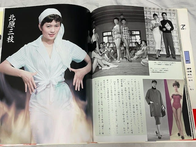 『平凡』お宝写真館　20世紀のビッグスタア　別巻　初版　当時物　写真集　昭和 平凡特別編集『20世紀のビッグスタア』！ - blue deco design lab
