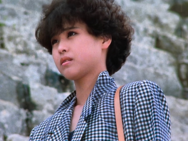 LD カリブ・愛のシンフォニー 松田聖子 神田正輝 【公式通販】