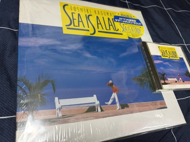 夏はやっぱりこれ！フュージョンの最高傑作『SEA IS A LADY』！ - blue