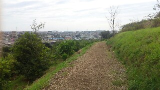 f:id:bluefog:20161023214651j:image f:id:bluefog:20161023214651j:image