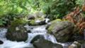 [みなかみ][山][川][日中][風景] 奥利根水源