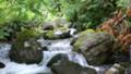 [みなかみ][山][川][日中][風景] 奥利根水源