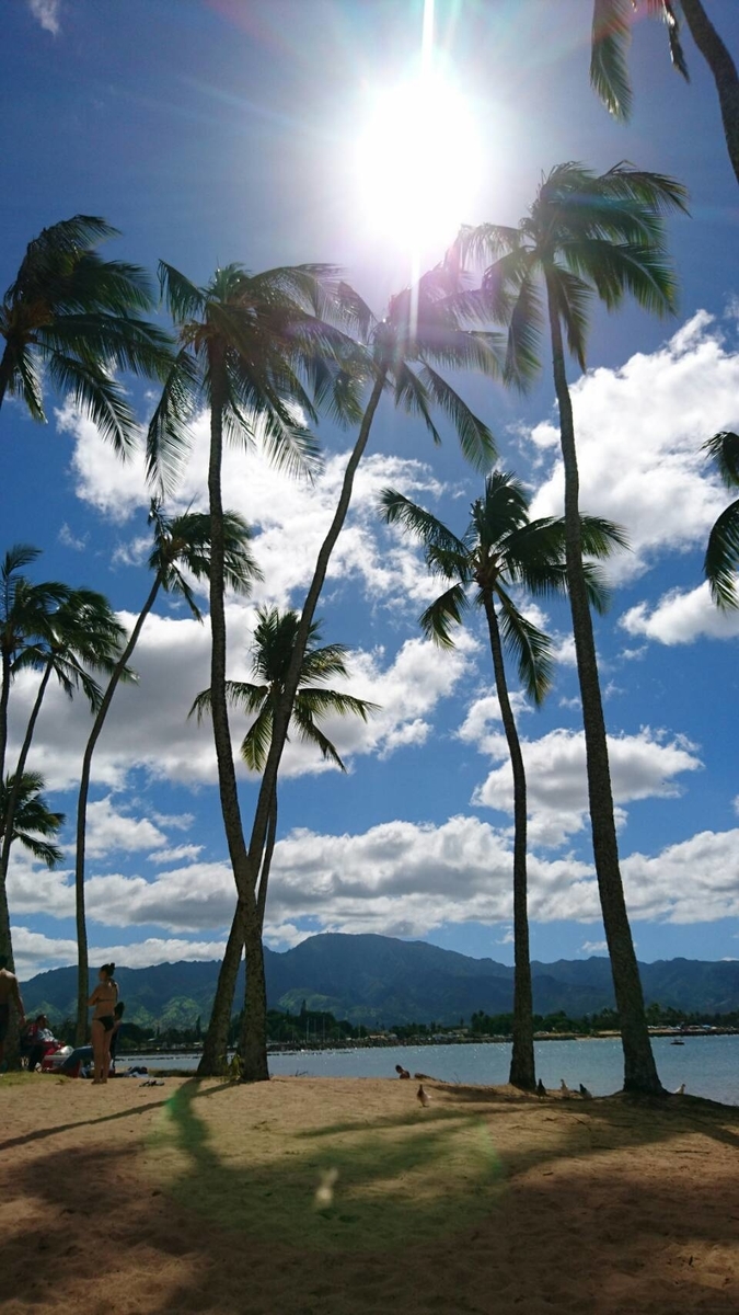 f:id:blueheaven33:20190728214934j:plain f:id:blueheaven33:20190728214934j:plain