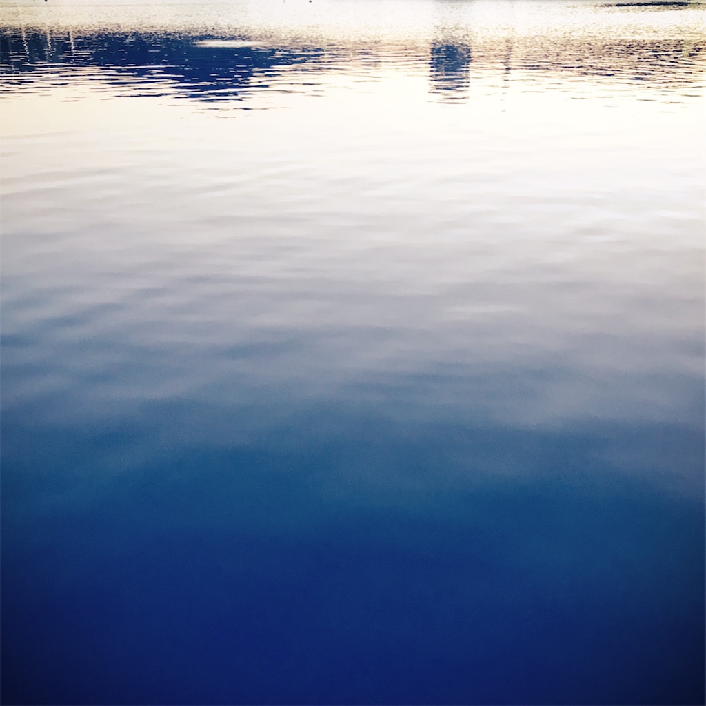f:id:bluem00n:20211005180543j:image