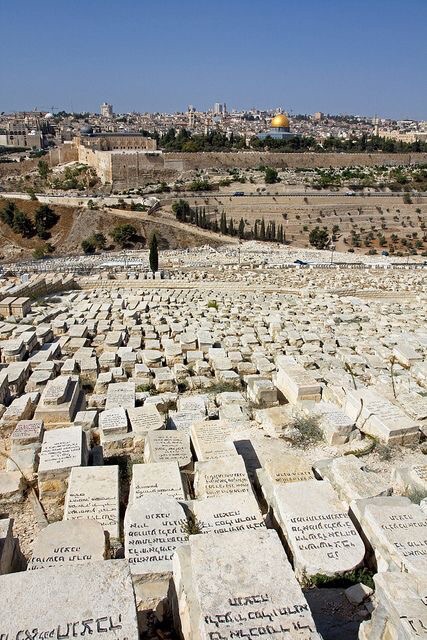 f:id:bluemome:20160828110642j:plain