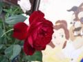 20060713060841