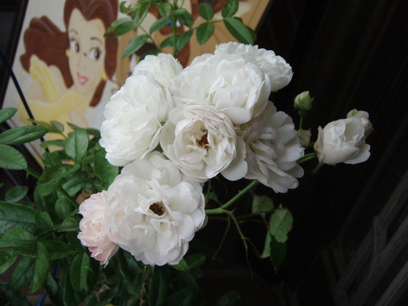 f:id:bluemoonbell:20060820084940j:image