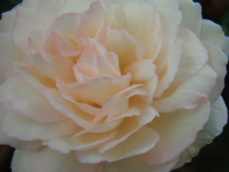 f:id:bluemoonbell:20060830102736j:image