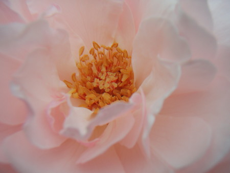 f:id:bluemoonbell:20060830102820j:image