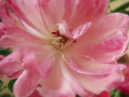 f:id:bluemoonbell:20061112115643j:image