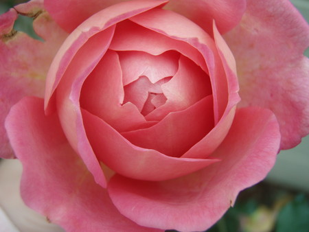 f:id:bluemoonbell:20061123095141j:image