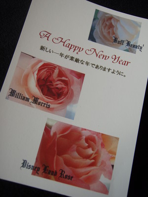 f:id:bluemoonbell:20070101090848j:image