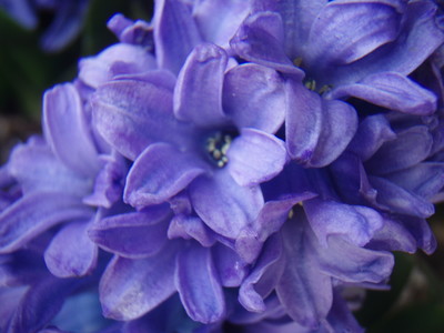 f:id:bluemoonbell:20070326114033j:image