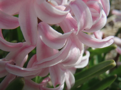f:id:bluemoonbell:20070326114150j:image
