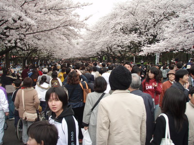 f:id:bluemoonbell:20070331120216j:image