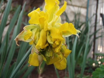 f:id:bluemoonbell:20070405100400j:image