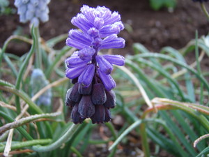 f:id:bluemoonbell:20070410070040j:image