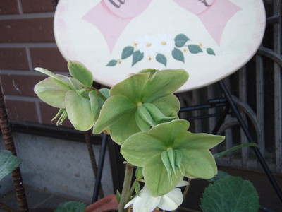 f:id:bluemoonbell:20070410070209j:image