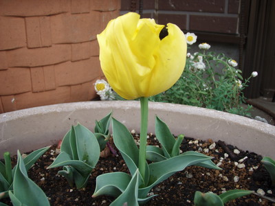 f:id:bluemoonbell:20070418094543j:image
