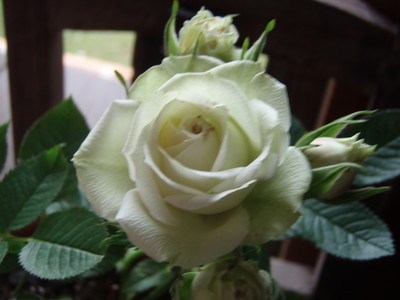 20070525162256