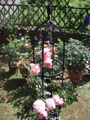 f:id:bluemoonbell:20070606083302j:image:left