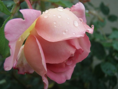 f:id:bluemoonbell:20070611065806j:image
