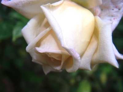 f:id:bluemoonbell:20070618082026j:image