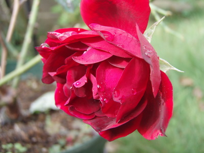 f:id:bluemoonbell:20071015083411j:image