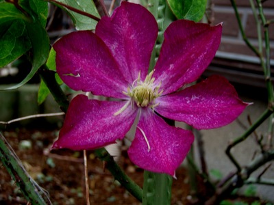 f:id:bluemoonbell:20071020072548j:image