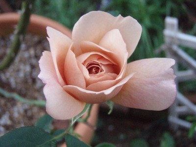 f:id:bluemoonbell:20071022164935j:image