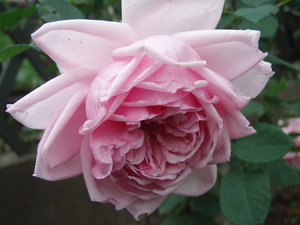 f:id:bluemoonbell:20071023070131j:image:left