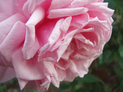 f:id:bluemoonbell:20071024061839j:image