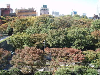 f:id:bluemoonbell:20071119102740j:image