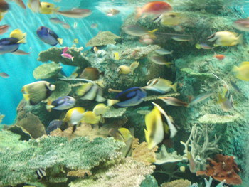 f:id:bluemoonbell:20071119135500j:image