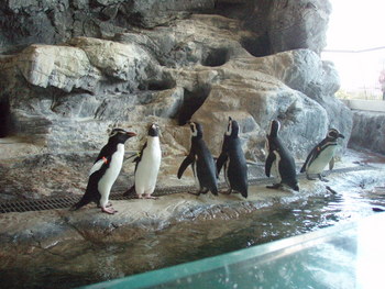 f:id:bluemoonbell:20071119144735j:image