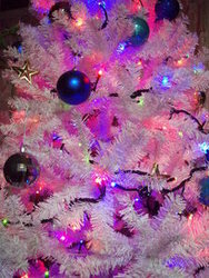 f:id:bluemoonbell:20071220202431j:image