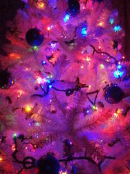 f:id:bluemoonbell:20071220202538j:image