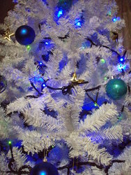 f:id:bluemoonbell:20071220202700j:image