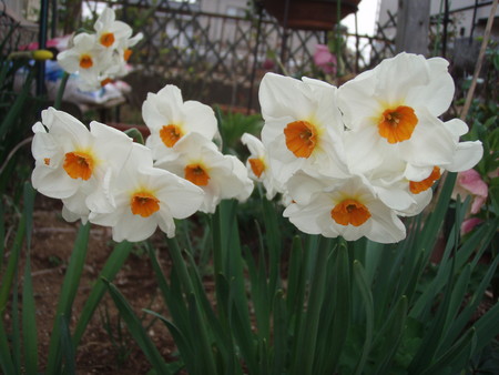 f:id:bluemoonbell:20080330084404j:image