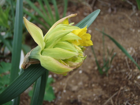 f:id:bluemoonbell:20080330084445j:image