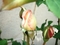 20080501083737