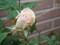 20080505073351