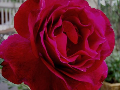 f:id:bluemoonbell:20080604064425j:image