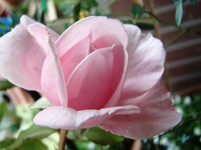 f:id:bluemoonbell:20080606104539j:image