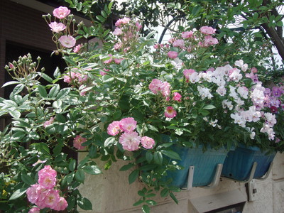 20080606105240